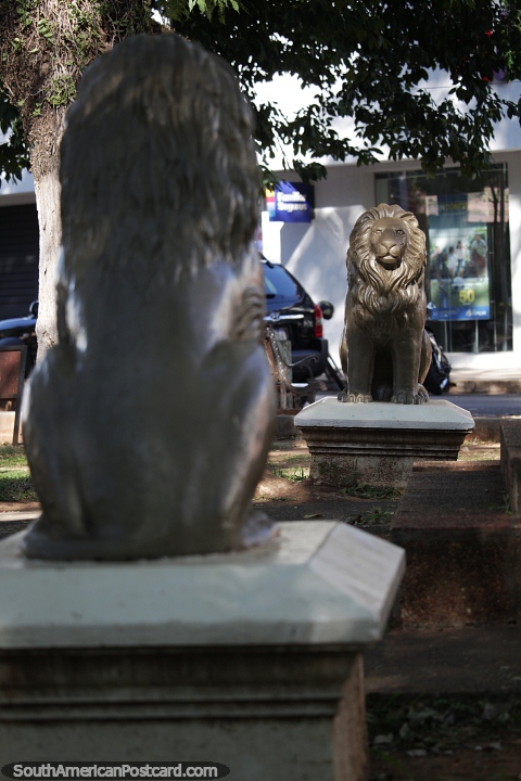 Leones dorados vigilan la zona de la plaza de Villarrica. (480x720px). Paraguay, Sudamerica.