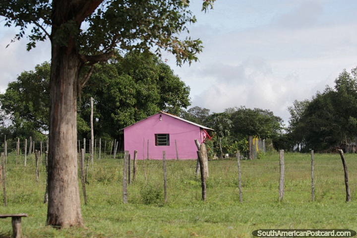 Rural living around Itape. (720x480px). Paraguay, South America.