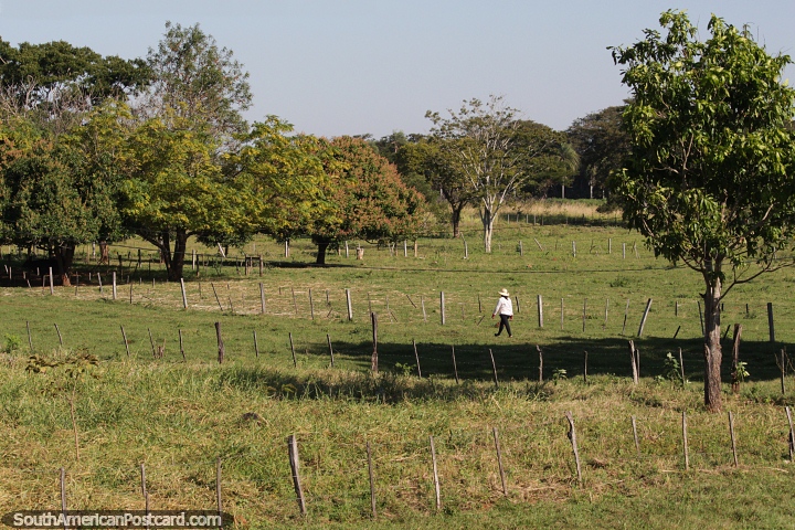 Um passeio pelo campo  maravilhoso em torno de Horqueta, Rota 5. (720x480px). Paraguai, Amrica do Sul.