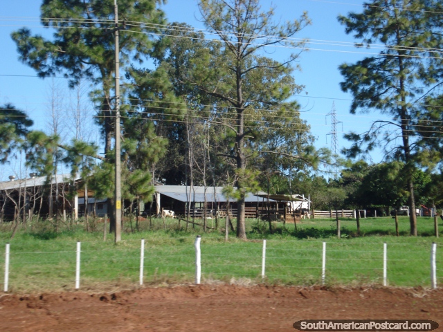 Abrigos de vaca e fazenda entre Cidade do Este e La Colmena. (640x480px). Paraguai, América do Sul.