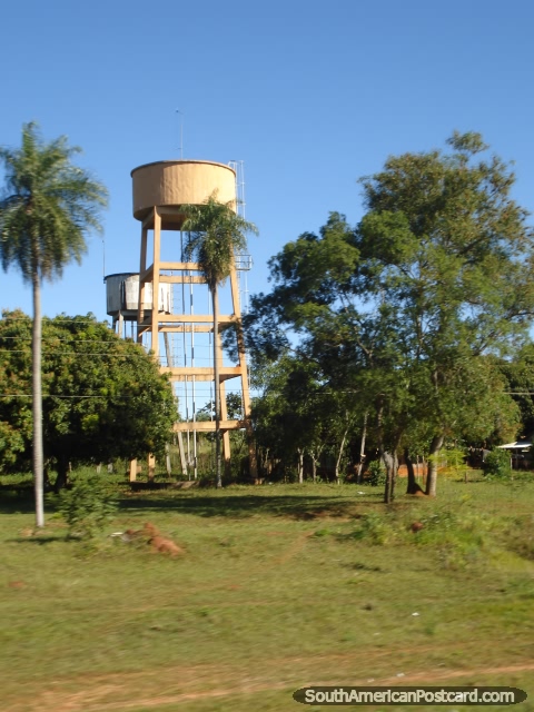Water towers and trees between Ciudad del Este and La Colmena. (480x640px). Paraguay, South America.