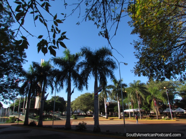 Palm trees at the Plaza de Armas in Encarnacion. (640x480px). Paraguay, South America.