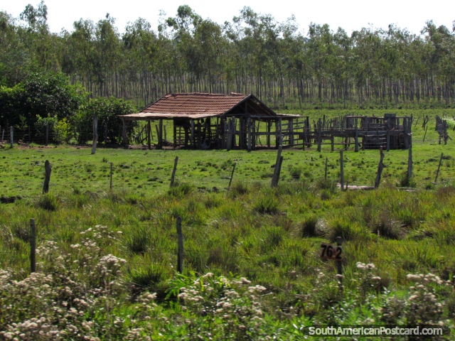 Cobertizo de ganado y cercas por una granja entre el General Delgado y Santa Rosa. (640x480px). Paraguay, Sudamerica.