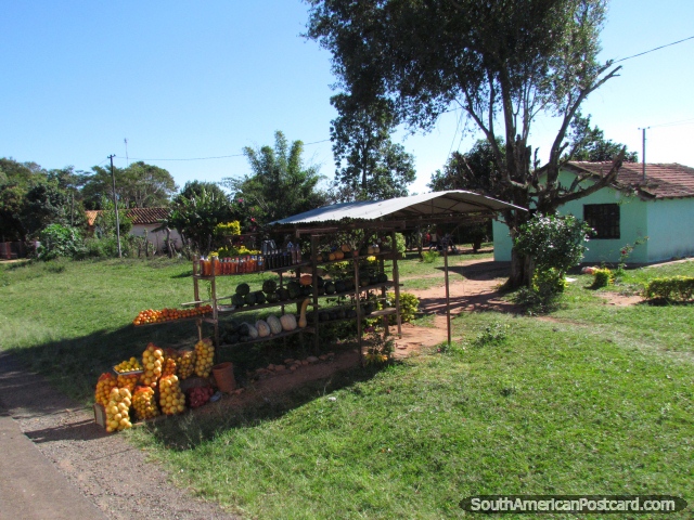 Uma estante de fruto na margem de estrada entre Santa Rosa e San Ignacio. (640x480px). Paraguai, América do Sul.