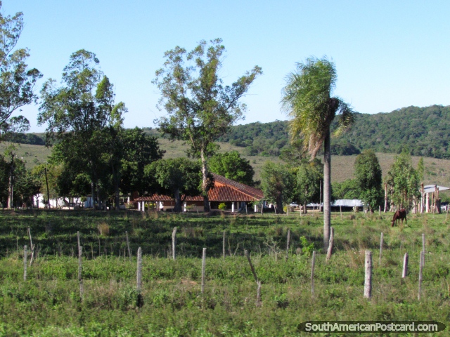 Uma fazenda bonita e casa no pas entre Caapucu e Quiindy. (640x480px). Paraguai, Amrica do Sul.