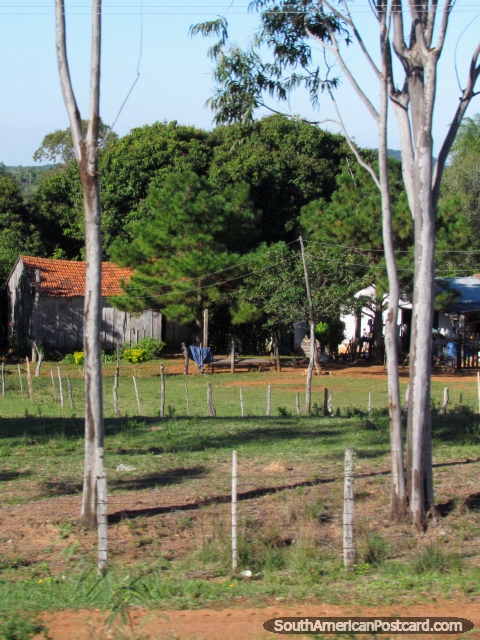 Vida de la granja hermosa y pacfica, tierra y casa entre Caapucu y Quiindy. (480x640px). Paraguay, Sudamerica.