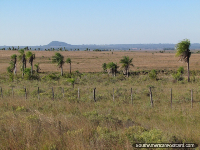 Campos entre el camino y montañas entre Caapucu y Quiindy. (640x480px). Paraguay, Sudamerica.