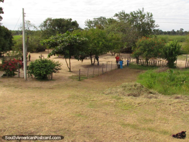 Familia y perro fuera de su granja en Gran Chaco. (640x480px). Paraguay, Sudamerica.
