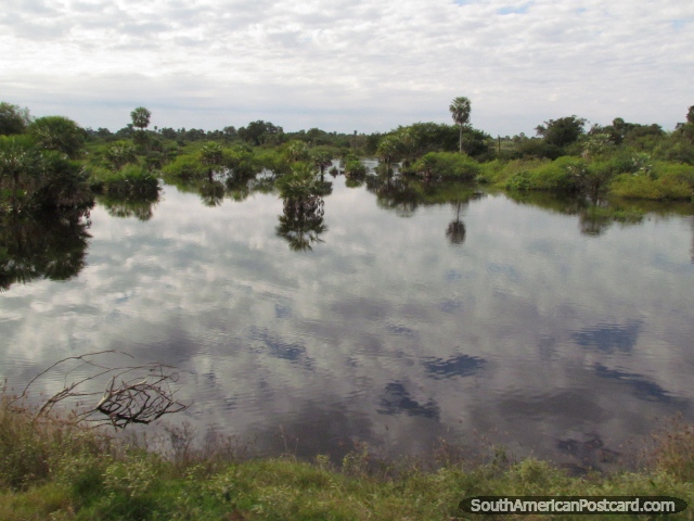 Água brilhante em uma rea de rea alagada em Gran Chaco. (640x480px). Paraguai, Amrica do Sul.