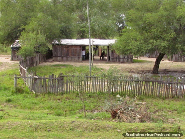 Os homens que se sentam em uma cabana de madeira rodeiam-se de cercas de madeira em Gran Chaco. (640x480px). Paraguai, Amrica do Sul.