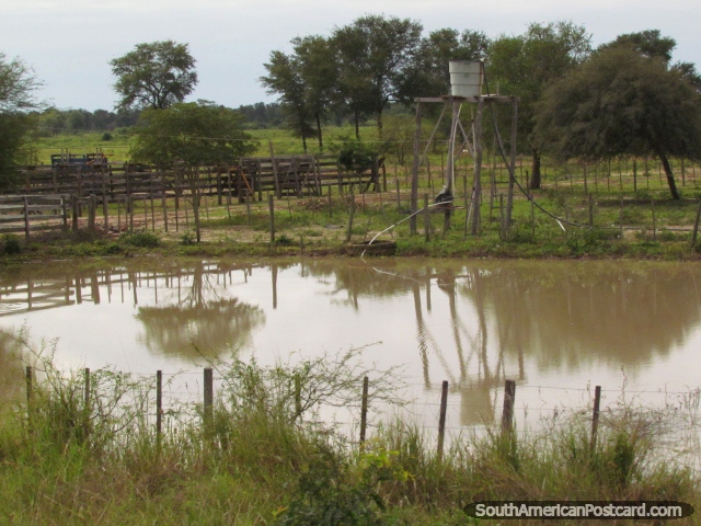 Torre de água, tanque e cercas de madeira em Gran Chaco. (640x480px). Paraguai, América do Sul.