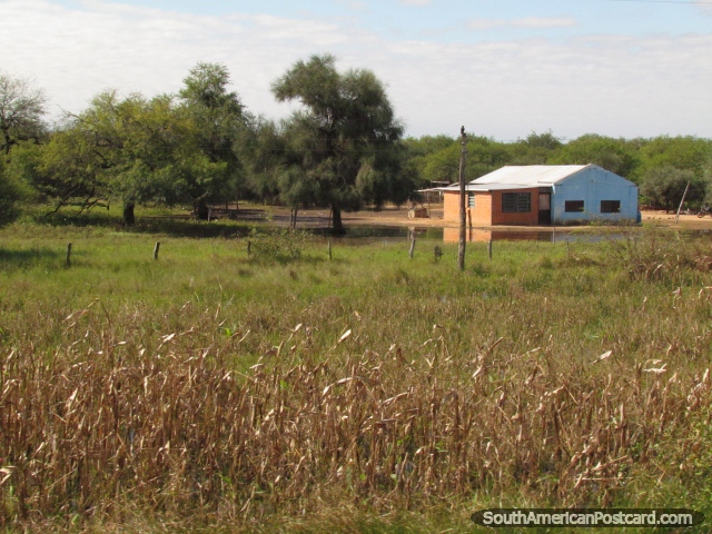 Uma propriedade e terra na selva de Gran Chaco. (640x480px). Paraguai, América do Sul.