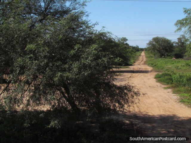 Tem algo mágico sobre um caminho de sujeira longo. (640x480px). Paraguai, América do Sul.