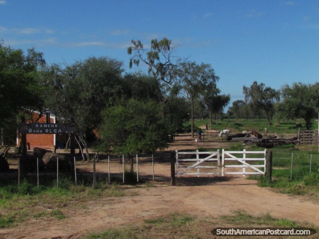 Dona Olga Ranch em Gran Chaco ao sul de Filadelfia. (640x480px). Paraguai, América do Sul.