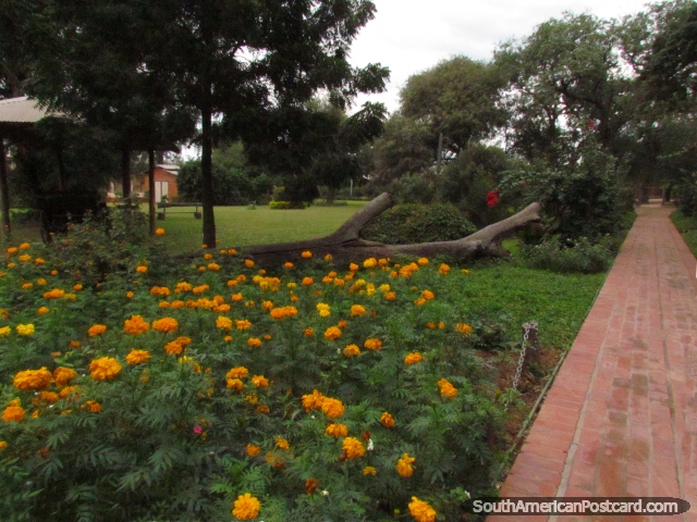 Park Parque de la Memoria in Filadelfia, flower gardens and trees. (640x480px). Paraguay, South America.