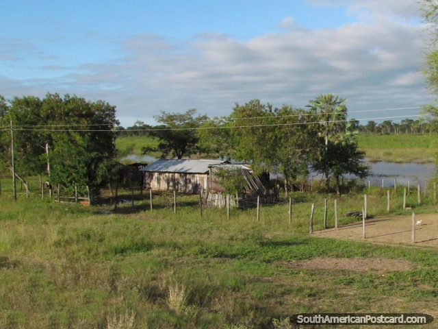 Pequena propriedade rural e casa de madeira junto da gua perto de Mondelindo, Gran Chaco. (640x480px). Paraguai, Amrica do Sul.