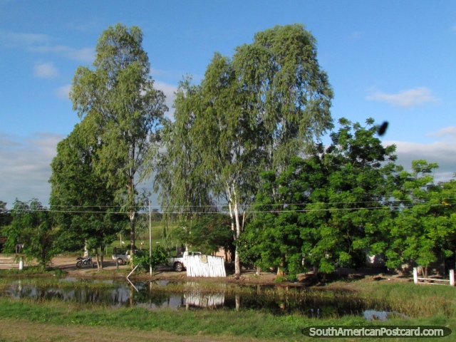 O Gran Chaco tem muitas rvores e propriedades rurais junto da estrada. (640x480px). Paraguai, Amrica do Sul.