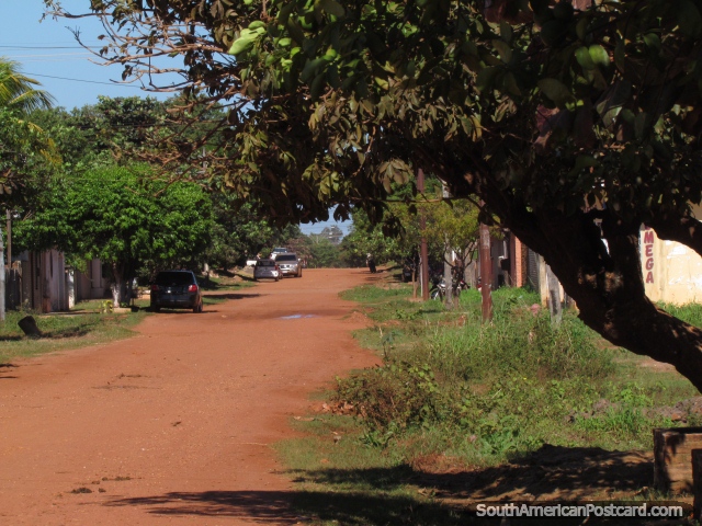 Ã�rvores e grama nas ruas de barro onde as pessoas de Concepcion vivo. (640x480px). Paraguai, América do Sul.