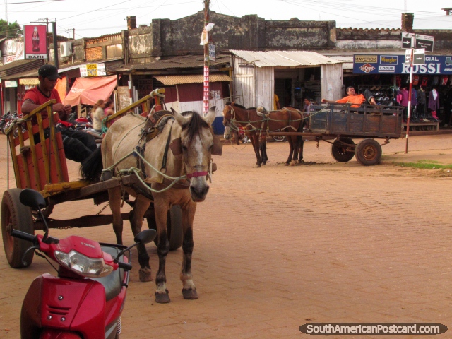 Os cavalos e as carretas puxam e frio fora esperando pelo seu seguinte emprego, Concepcion. (640x480px). Paraguai, Amrica do Sul.