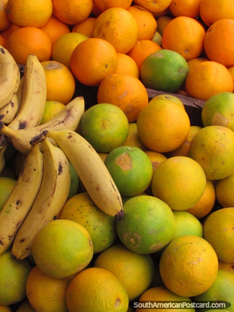 Oranges and bananas, Concepcion markets. (480x640px). Paraguay, South America.