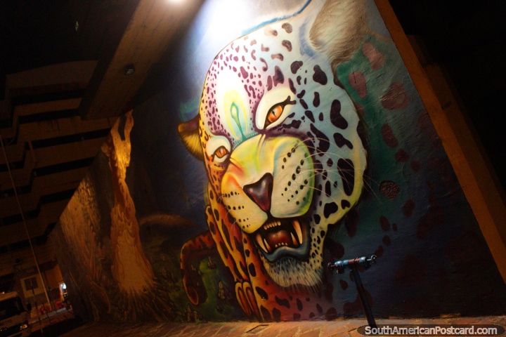 Awesome mural of a tiger in Asuncion at night. (720x480px). Paraguay, South America.