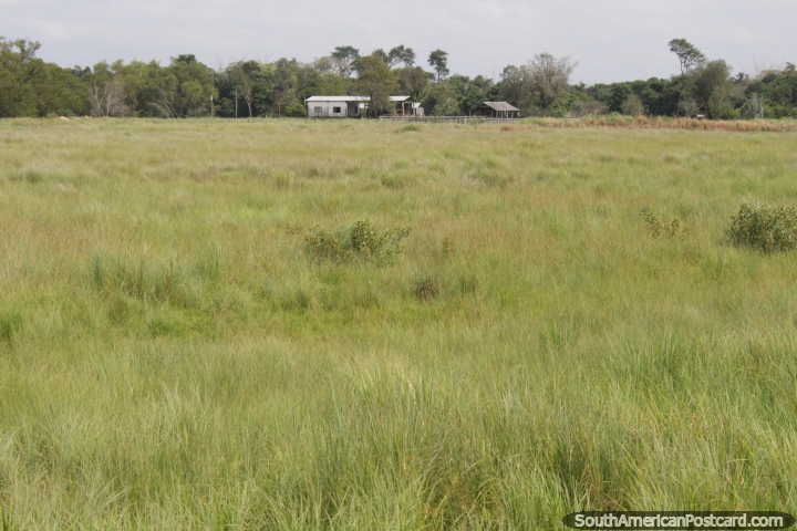 Casa atrs de um grande campo verde na zona rural ao sul de Oviedo. (720x480px). Paraguai, Amrica do Sul.