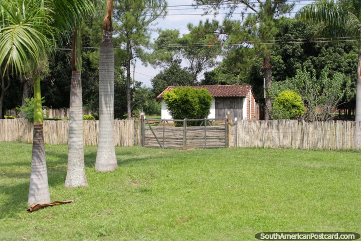Pequena casa de pas com gramados bonitos e palmeiras, ao sul de Oviedo. (720x480px). Paraguai, Amrica do Sul.