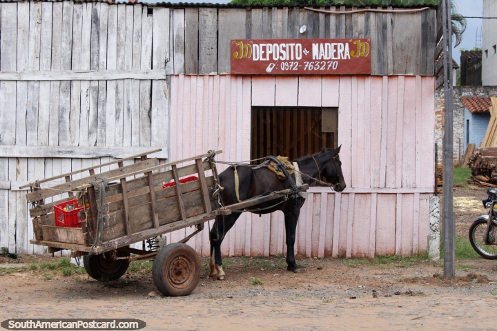 O cavalo e a carreta sentam-se do lado de fora de uma loja de madeira em Villarrica, Maderas J.D. (720x480px). Paraguai, Amrica do Sul.