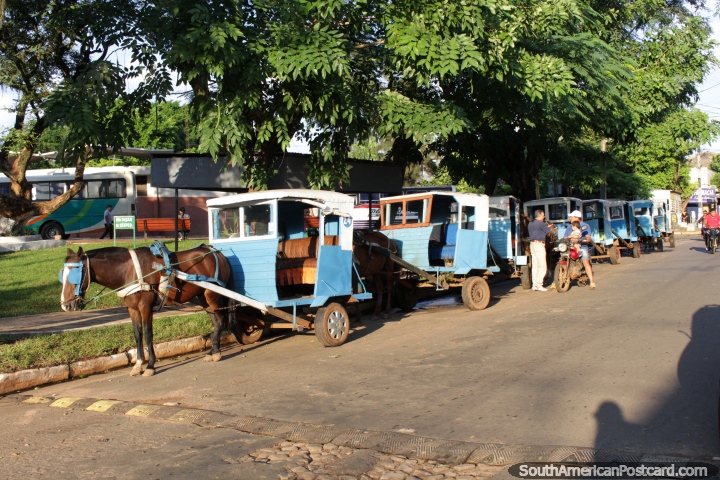 Horse drawn cart taxis await people outside the Villarrica bus terminal. (720x480px). Paraguay, South America.