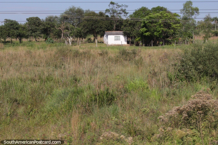 Pequena casa escondida em isolamento na zona rural, ao norte de Villarrica. (720x480px). Paraguai, Amrica do Sul.