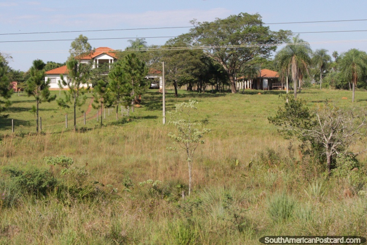 Mansão na zona rural, palmeiras e terra, tão bela, ao norte de Villarrica. (720x480px). Paraguai, América do Sul.
