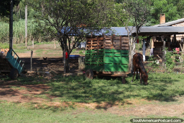 Um veculo puxado a cavalo de madeira e cavalo do lado de fora de uma casa de pas entre Villarrica e Oviedo. (720x480px). Paraguai, Amrica do Sul.