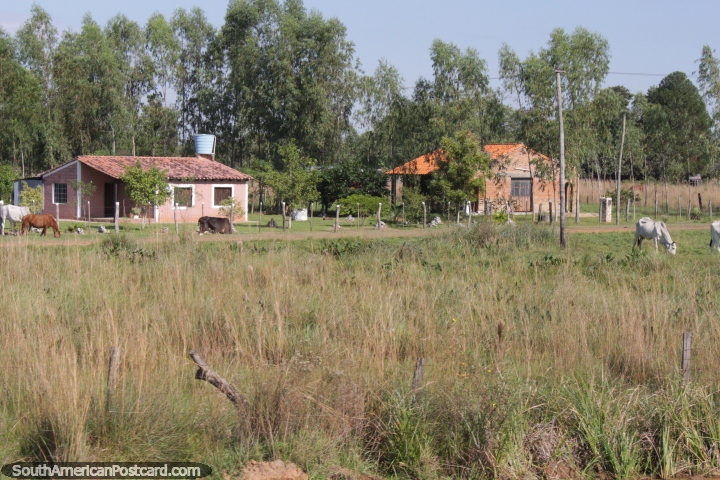 Un par de casas juntas en el campo del Paraguay, no tan habitual, al norte de Villarrica. (720x480px). Paraguay, Sudamerica.