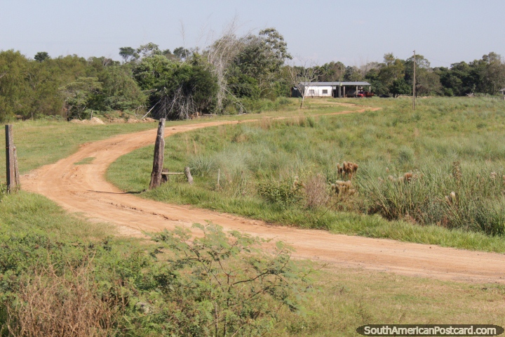 Tanta terra para andar em partes do Paraguai, casa em uma grande propriedade ao norte de Villarrica. (720x480px). Paraguai, Amrica do Sul.