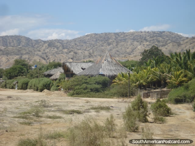 A great view of the palm trees and hills at the back of Mancora on the north coast. (640x480px). Peru, South America.