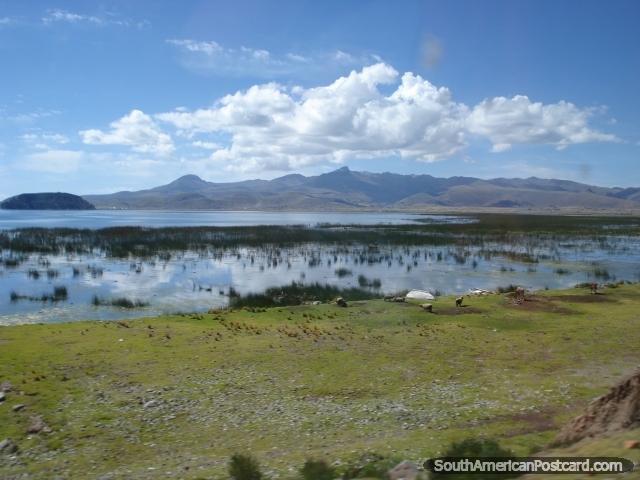 Uma visão do Lago Titicaca entre Pomata e Juli. (640x480px). Peru, América do Sul.