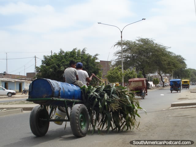 O burro e a carreta em sullana, uma cidade que  de fato mototaxi caos no seu melhor. (640x480px). Peru, Amrica do Sul.