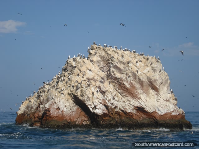 Las islas de la roca asombrosas que las aves aman en Islas Ballestas. (640x480px). Per, Sudamerica.