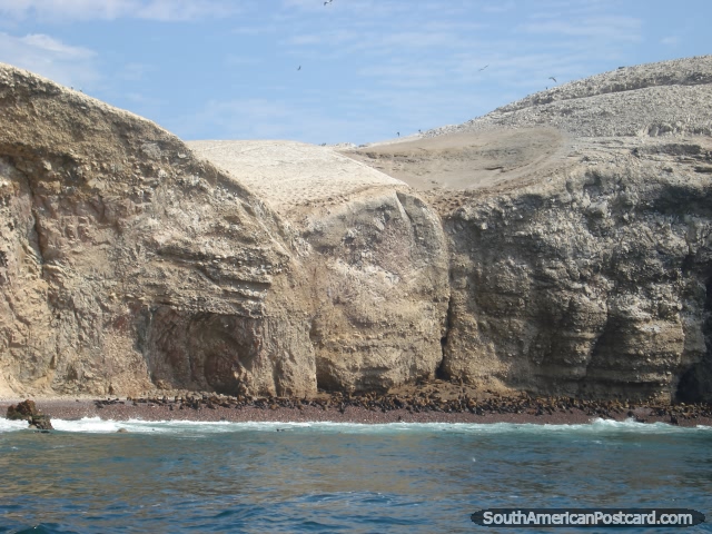 Miles de sellos en una playa stoney en Islas Ballestas. (640x480px). Per, Sudamerica.
