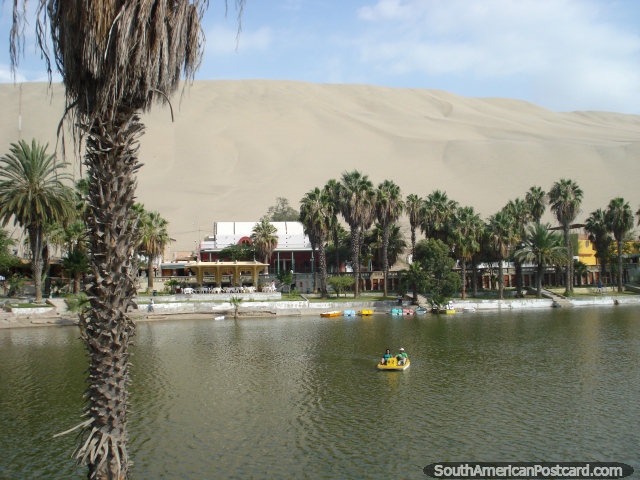 Pedal-boating on the lagoon at Huacachina. (640x480px). Peru, South America.