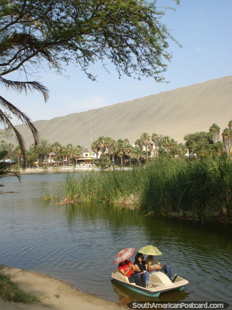 Pedal-boating under Asian umbrellas in the lagoon at Huacachina. (480x640px). Peru, South America.