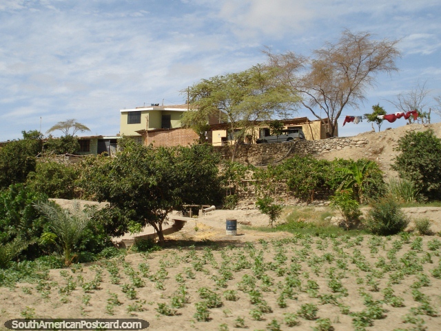 Casa en el campo ya que entramos en Palpa entre Nazca y Ica. (640x480px). Per, Sudamerica.