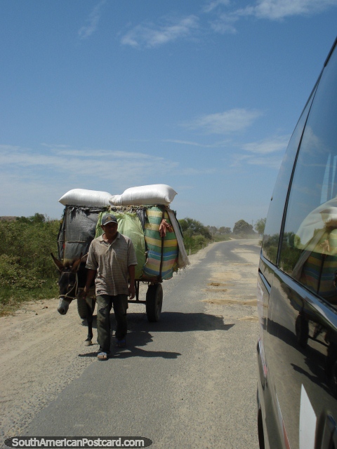 Hombre con burro y carro al norte/oeste de Sullana. (480x640px). Per, Sudamerica.