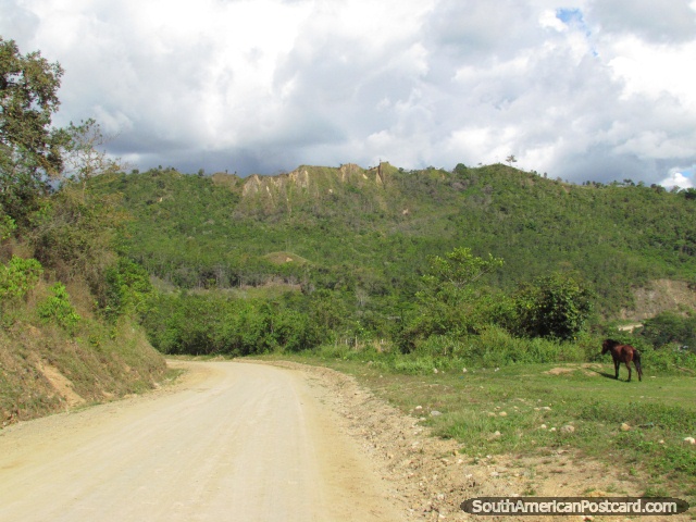 Caballo marrn, acantilados y paisaje en camino a San Ignacio de La Balza. (640x480px). Per, Sudamerica.