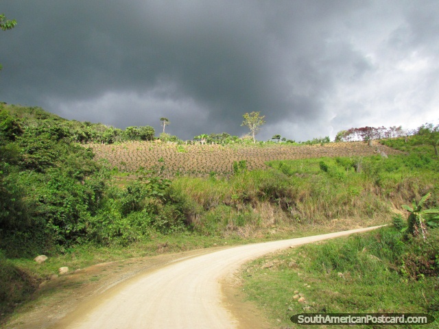 Ladera y cosechas en el camino al norte de San Ignacio. (640x480px). Per, Sudamerica.