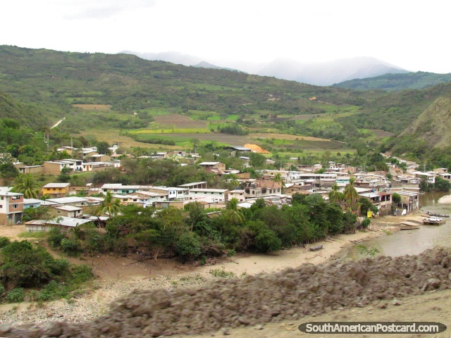 Chuchuhuasi al lado del ro entre San Ignacio y Jan. (640x480px). Per, Sudamerica.