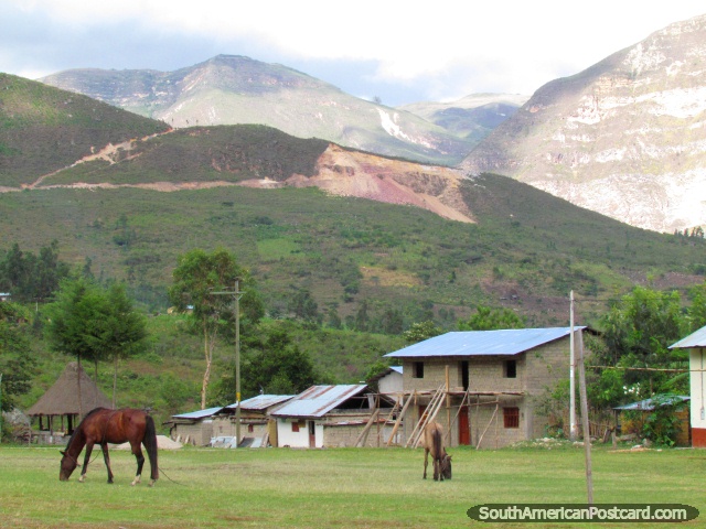 Alugue um cavalo para montar a Cachoeiras de Gocta da aldeia de Cocachimba perto de Chachapoyas. (640x480px). Peru, América do Sul.