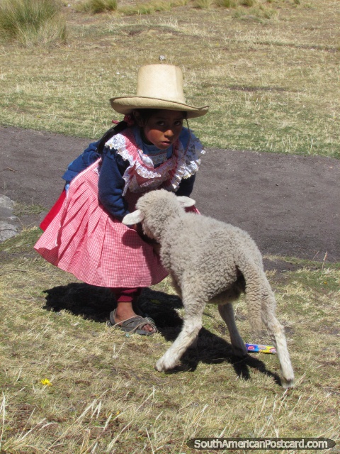 Menina de camponês e cordeiro branco em Cumbemayo perto de Cajamarca. (480x640px). Peru, América do Sul.