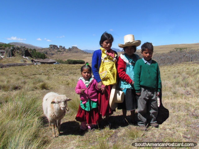 Local peasant children of Cumbemayo and their lamb, Cajamarca. (640x480px). Peru, South America.