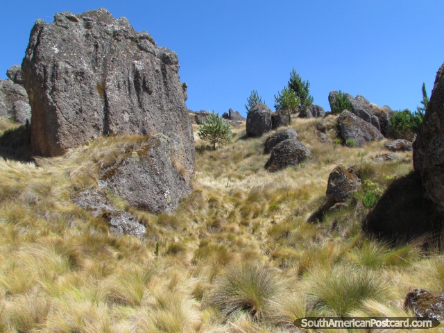 Cumbemayo balançam jardins em Cajamarca. (640x480px). Peru, América do Sul.